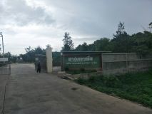 S_8317722665243.jpg