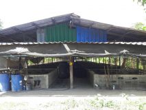 663716.jpg