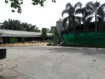 396463.jpg