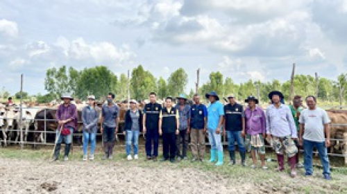 โครงการรณรงค์ป้องกันโรคปากและเท้าเปื่อย (FMD)รอบที่ 2/2568 